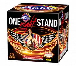 HAPPY ONE NIGHT STAND - CASE 4/1
